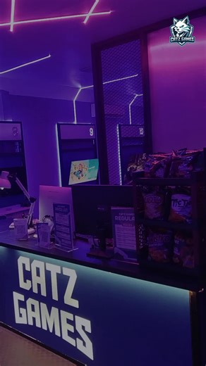 Tour Catz Game: Temukan Keasyikan Bermain!