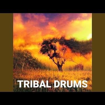 Indian Hand Drum (Tabla & Baya Drums)