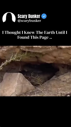 Scary Bunker on Instagram: "Black Anaconda (Eunectes murinus melanistic form) The black anaconda is a rare melanistic variation of the green anaconda, one of the heaviest and most powerful snakes on Earth. Its unusually dark-sometimes nearly jet-black-coloration comes from excess melanin, which helps it blend perfectly into murky rivers, flooded forests, and shadowy swamps of South America. This natural camouflage makes it an even more effective ambush predator. Built like pure muscle, a black a