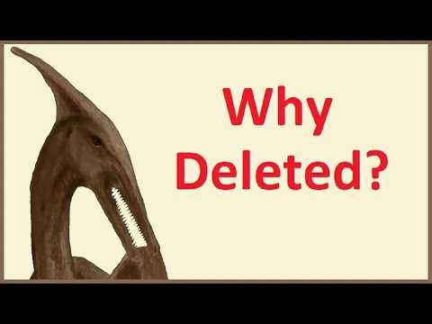 Why a Ropen Cover-up?