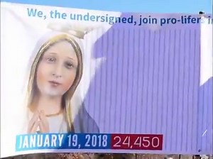 3.6K views · 308 reactions | If you can't make it to Washington D.C. on January 18th, we will carry a banner with your name and thousands of others at the March for Life! Show your support and add your name at https://americaneedsfatima.org/forms/WEBFB190.html?lang=en. | America Needs Fatima | Facebook