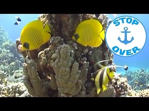 he Treasures of the red sea (Documentary, Discovery, History)