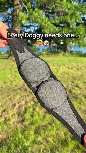 ear wraps are perfect for dogs with sound anxiety! 💥🐶#fireworks #doganxiety #doggifts #4thofjuly
