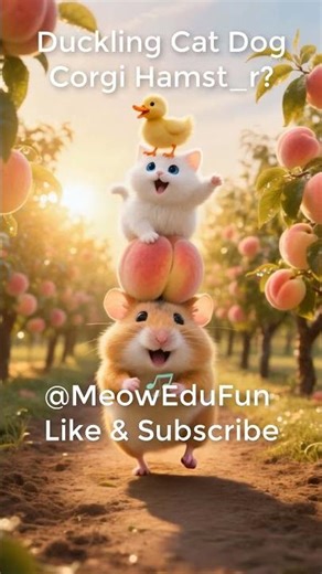 #15 Meow Edu | What Happens When AI Animals Sing Meow Meow Song? 🎵