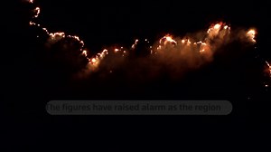 Fires in Brazil's wetlands have surged nearly tenfold this year to the highest levels since 2020. The figures are alarming as the region heads into the riskiest season for wildfires. | Reuters