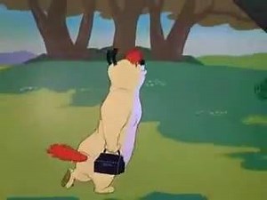 Zdravo Rale! Zdravo Fred! | Нај лепши цитати свецке књижевности