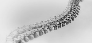 Kun - The Kun Shoulder Rest - Ergonomics