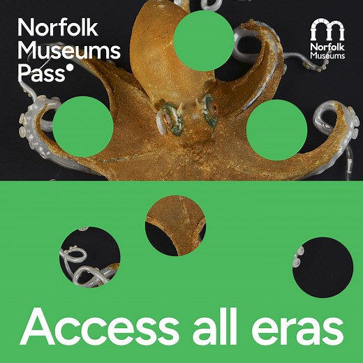 Give the gift of discovery this Christmas with a Norfolk Museums Pass gift voucher. Unwrap centuries of stories with unlimited entry to ten museums in Norfolk. From Romans to rebellions. From prehistoric bones to prison stones. From fossil finds to farming fields. From a castle keep to coastal crafts – access all eras with one pass. A whole year of adventures await. Buy now | Norwich Castle Museum & Art Gallery