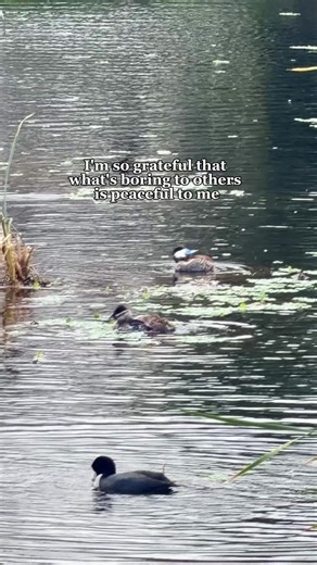 The Joy of Birding: More Than Just Watching Birds