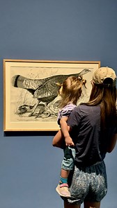 23 reactions | We invite you to experience the breathtaking...