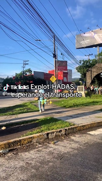 Yo soy una de ellas✨🧚#contenido #paratiiiiiiiiiiiiiiiiiiiiiiiiiiiiiii #fyp #video #hadas