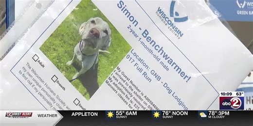 Wisconsin Humane Society reduces adoption fees for all dogs across the state