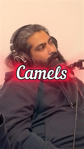 Learn something #camels #magic #india #animals