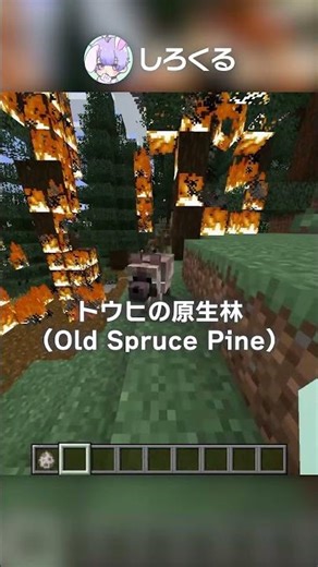 新しい犬「8種類」登場！！！！【マイクラ豆知識 解説 裏技】