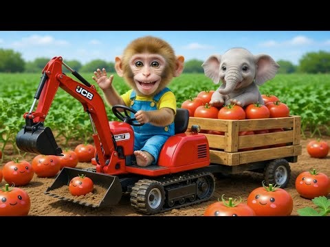 Monkey Sisi Drives JCB Tractor to Harvest Tomatoes & Rescues poor Baby Elephant Epic Rescue Mission!