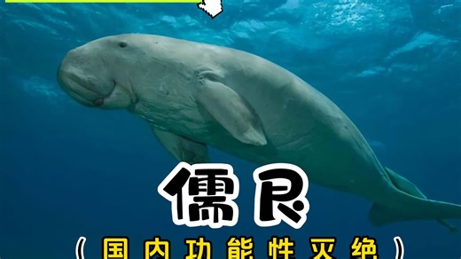 它曾救过人类性命却遭恩将仇报，被屠戮殆尽的那一刻它落下了眼泪 #史前巨兽 #远古生物 #科普