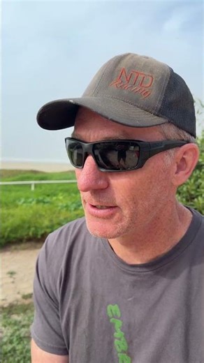 CRABS at the Baja 1000!!???