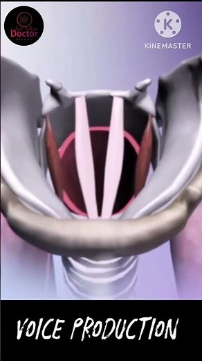 Sound Production , How our sound Produce !? animatedvideo #medicalstudent #doctor