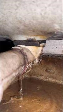 Leaking Tub Drain Repair