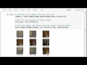 TensorFlow Tutorial #10 Fine-Tuning