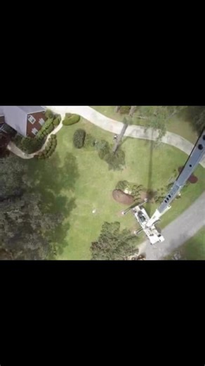 How do you feel about heights? 😨 Not a problem. Our team is fearless! | Advance Tree Care