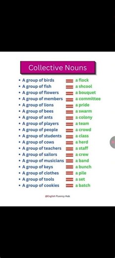 Collective nouns #vocabulary