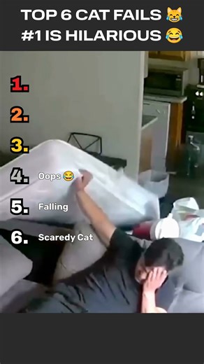 Top 6 Cat Fails 😂 #1 Is Hilarious | Funny Cat Videos #shorts #trending #catvideos