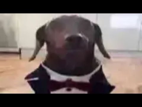 PSO2 (Classic/Base) - D100 Sodam 8:07 (Luster/Zandi)