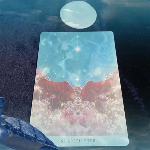 Today’s card is “Shapeshifter.” The octopus is a powerful symbol of spiritual shapeshifting — representing transformation, adaptability, and deep connection to the subconscious. With its ability to change colour, texture, and form, it teaches us how to fluidly shift identities, navigate multiple dimensions of self, and embrace constant evolution. As a creature of the deep, it embodies mystery, resilience, and the magic of unseen realms, reminding us that true power lies in our ability to adapt, 