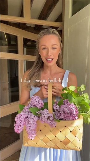 #lilac season is here 🪻One of my favourite things about #spring