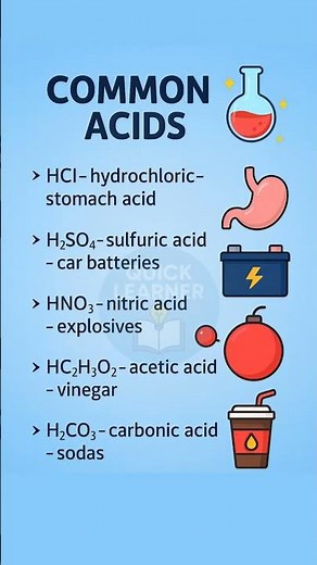 Acids and Bases Explained in 1 Minute ⚡ | Common Acids, Uses & pH Scale | Quick Learner