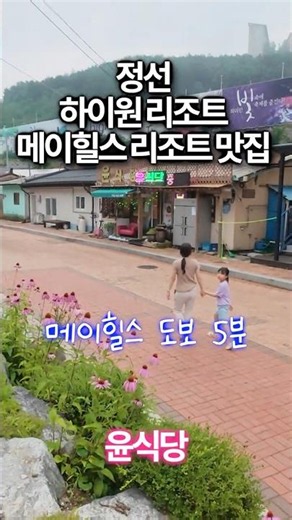[정선 윤식당] 하이원 스키·워터월드 맛집! 김치찜 수육세트🤤
