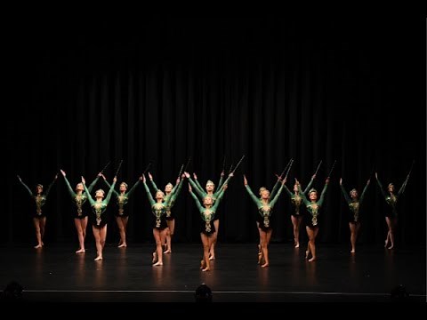 Calisthenics Victoria State Team 2018 - Juniors Rods