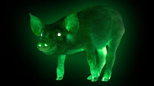 Important Science of the Day: Living, Breathing, Glow-in-the-Dark Pigs