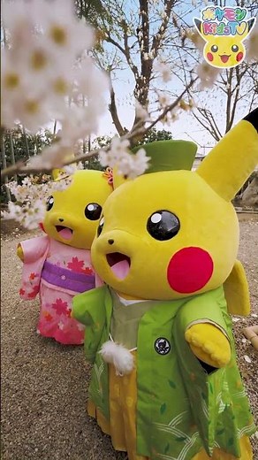 【ポケモン公式】ポケモン Shorts ～きものピカチュウ PART2〜