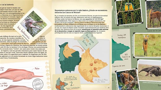 La guía arqueológica de los Llanos de Moxos es única en su género y combina información ecológica y biológica de algunas especies de animales silvestres de la región a tiempo de presentar los siete complejos culturales pre-colombinos de los Llanos de Moxos, la región con mayor densidad de sitios arqueológicos en toda la gran cuenca amazónica. La historia es narrada a través del diario de un jaguar y de sus amigos el bufeo y la paraba barba azul, transmitiendo información científica en un lenguaj