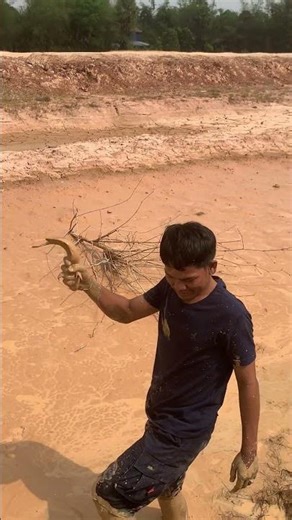 Ep20 #farmers #automobile #lifeisbutadream #agriculture #shortvideo #cropcultivation #fishing