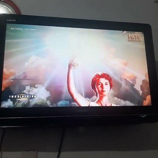 National Security (2003) - HITS Movies Intro