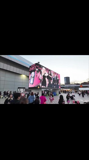 #BLACKPINK#東京ドーム #2026#ライブ #black pink 2026BLACK PNGのライブ行ってきたー