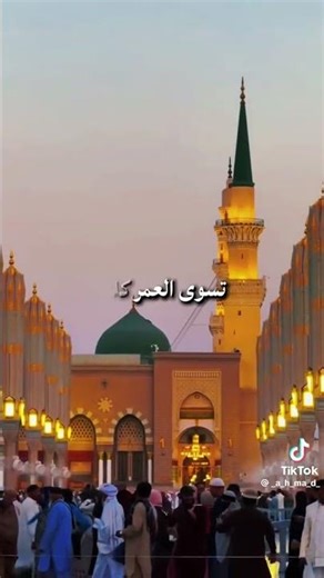 ٣٠ ديسمبر ٢٠٢٥