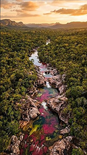 Caño Cristales: The River That Looks Completely Fake 🌈