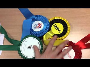 AMS Explained...Invy Style