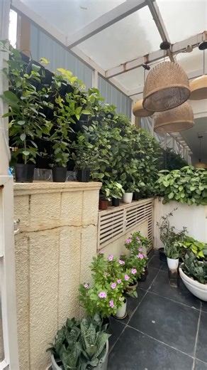 3.1M views · 112 reactions | Experience our all-new menu at Sante Spa Cuisine, Indiranagar — where mindful wellness meets gourmet indulgence. Every dish is thoughtfully crafted to delight the senses and nourish the soul.  | Santé Spa Cuisine Bangalore | Facebook