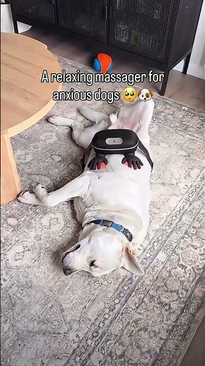 🐾 My Pet MELTS Into Relaxation! | Calming Kneading Massager for Dogs & Cats | Vovixy