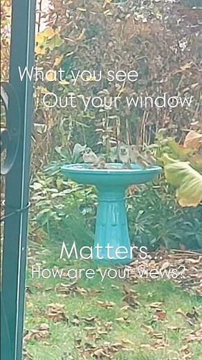 What Are You Seeing Outside Your Window?