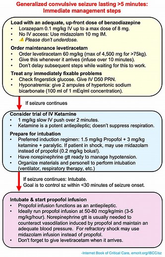 Status Epilepticus