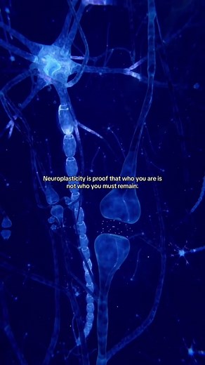 Understanding Neuroplasticity: A Deep Dive into Its Beauty
