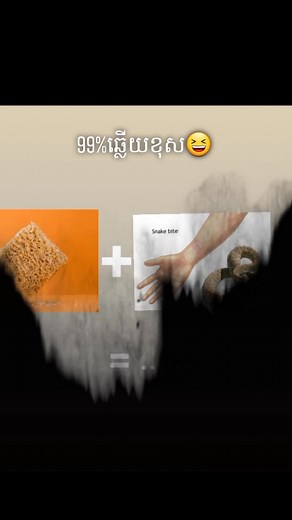 Understanding Snake Bites and Their Consequences