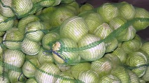 Cabbage harvest. Wholesale market business selling food. Green fresh cabbage in bags on the market. Wholesalers of cabbage. Vegetarian component foods. Mesh bags with fresh cabbage on market