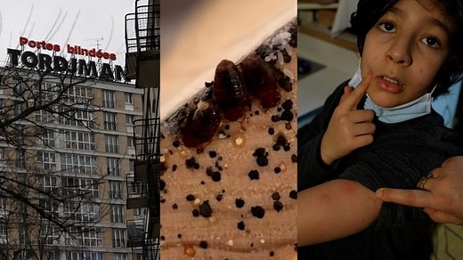 VIDÉO. Rats, punaises de lit et périphérique : le calvaire sans fin des habitants de la cité «Python»